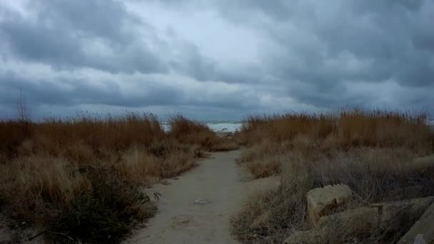 Gångstig Till Havet Vid Kaspiska Havets Kust Februari Månad — Stockvideo