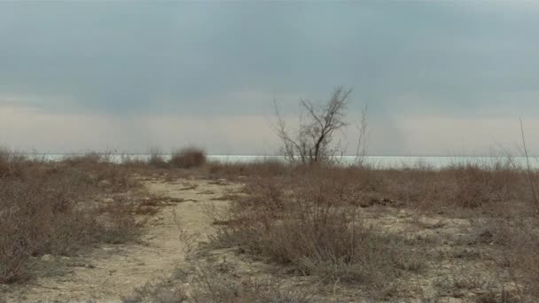 Hazar Denizi Nin Kurak Kıyıları Mangistau Kazakistan — Stok video