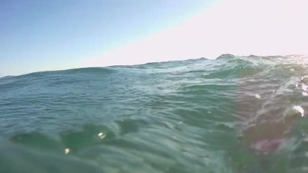 カスピ海の表面と水中 — ストック動画