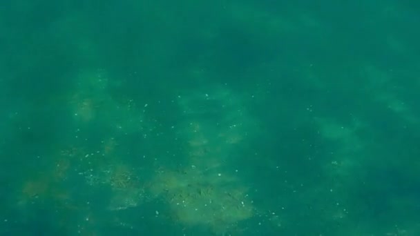 Passeio Subaquático Mar Fundo Arenoso Mar Cáspio Lata Cerveja Debaixo — Vídeo de Stock