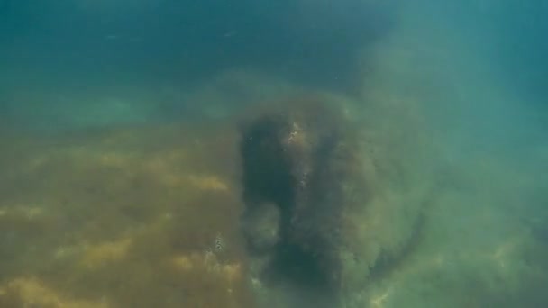 在里海水下散步 落基底部 — 图库视频影像