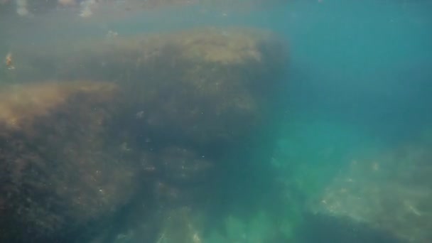 Passeio Subaquático Mar Cáspio Fundo Rochoso — Vídeo de Stock
