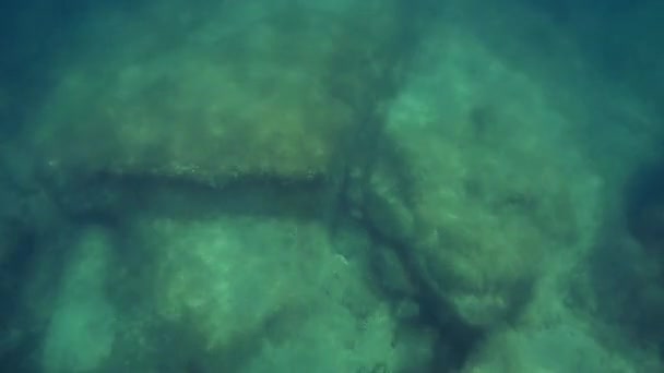 Passeio Subaquático Mar Cáspio Fundo Rochoso — Vídeo de Stock