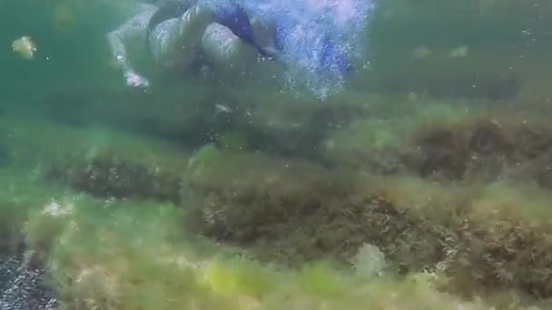 Υποβρύχια Βόλτα Στην Κασπία Θάλασσα Βραχώδης Πάτος — Αρχείο Βίντεο