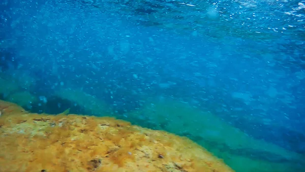 Unterwasserfelsen Die Mit Algen Bedeckt Sind Kaspisches Meer Juni 2020 — Stockfoto