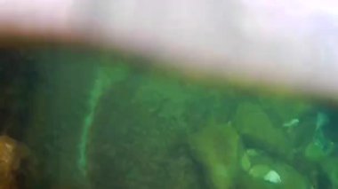 Denize doğru yürü. Hazar Denizi. 18 Haziran 2020.