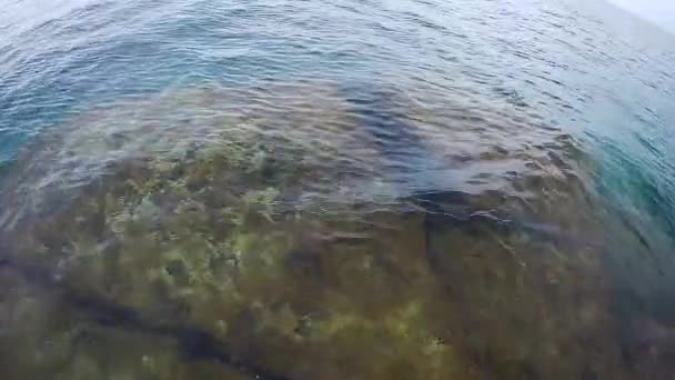 Unterwasserspaziergang Ins Meer Gehen Sie Auf Wasser Kaspisches Meer Juni — Stockvideo