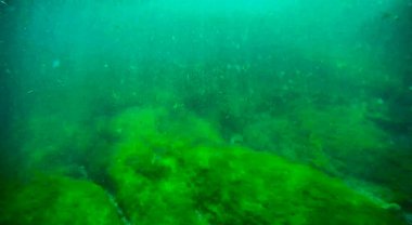 Denize doğru yürü. Hazar Denizi. 22 Haziran 2020.