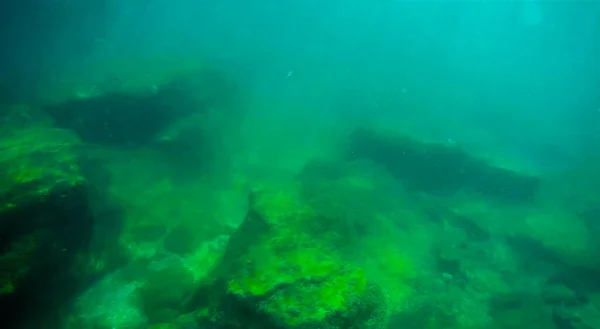 Caminata Submarina Hacia Mar Mar Caspio Junio 2020 Año — Foto de Stock