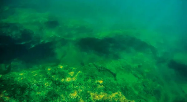 Underwater Landscape Sea Caspian Sea June 2020 Year — Stock Photo, Image