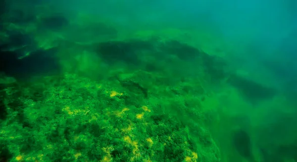 Onderwaterlandschap Zee Kaspische Zee Juni 2020 Jaar — Stockfoto