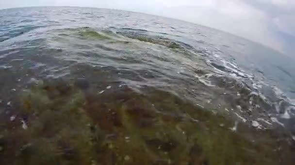 水底走进大海 走在水面上里海 2020年6月18日 — 图库视频影像