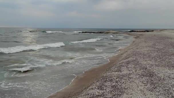 Ακτή Shell Της Κασπίας Θάλασσας Καζακστάν Περιοχή Μαντζίσταου Ιουλίου Έτος — Αρχείο Βίντεο