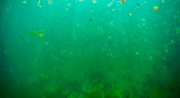 바다의 카스피해 2020 — 스톡 사진