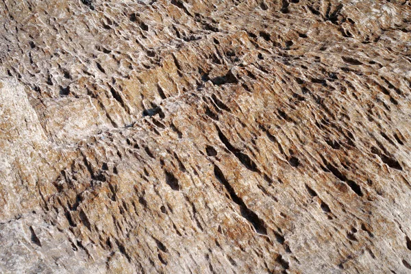 Roccia Sabbiosa Superficiale Riva Rocciosa Del Mar Caspio — Foto Stock