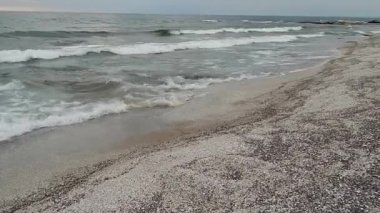 Hazar Denizi 'nin deniz kabuğu. Kazakistan. Mangistau bölgesi. 15 Temmuz. 2020 yıl..