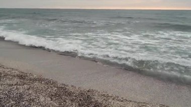 Hazar Denizi 'nin deniz kabuğu. Kazakistan. Mangistau bölgesi. 15 Temmuz. 2020 yıl..