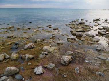 Hazar Denizi 'nin kayalık kıyısı. Kazakistan. Eylül 2019. Mangistau bölgesi.