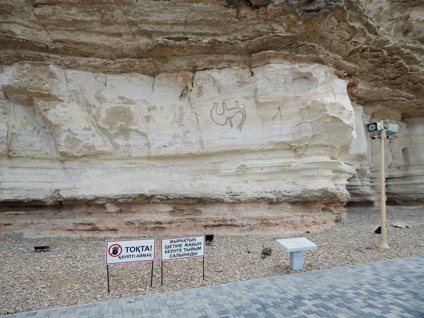 Dibujo Camello Sobre Una Roca Orilla Rocosa Del Mar Caspio —  Fotos de Stock