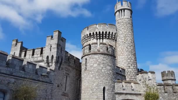 Blackrock Castle Cork Irland — Stockvideo