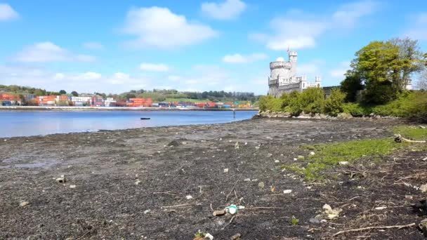 アイルランドのコルクにあるブラックロック城 — ストック動画