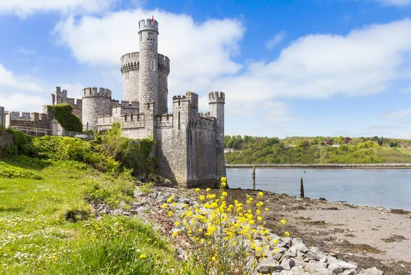 Cork, İrlanda 'daki Blackrock Kalesi