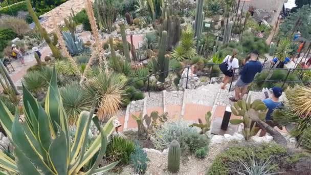 フランス 2018 エキゾチックな庭園を歩いて人々 場所は 地中海 429 フレンチ リビエラのパノラマ ビューを提供しています — ストック動画
