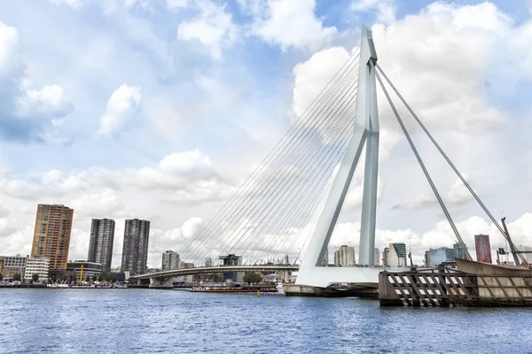 Erasmus Bridge Rotterdam Netherlands — Stock Photo, Image