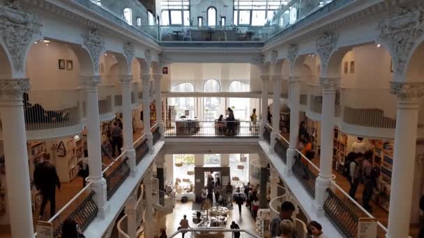 Bucarest Roumanie Octobre 2018 Les Gens Faisant Shopping Dans Librairie — Video