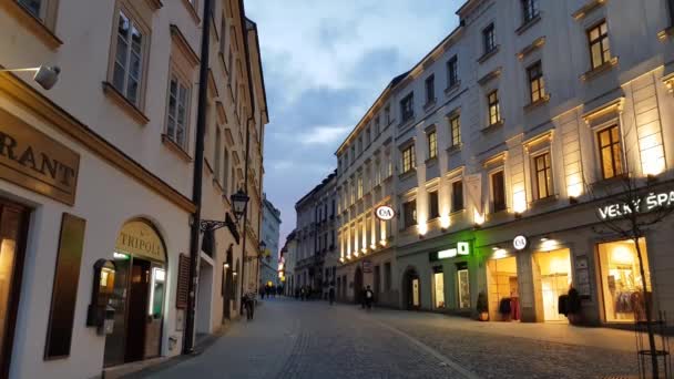 Brno República Checa Noviembre 2018 Personas Caminando Por Centro Ciudad — Vídeo de stock