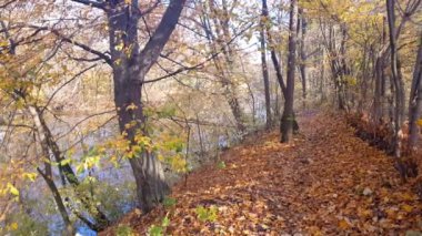 Göl sonbahar sırasında Lednice Park, Çek Cumhuriyeti