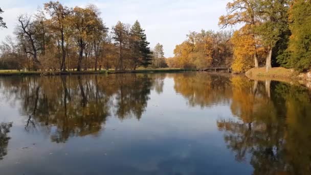 Озеро Протягом Осені Парку Ледніце Чехія — стокове відео