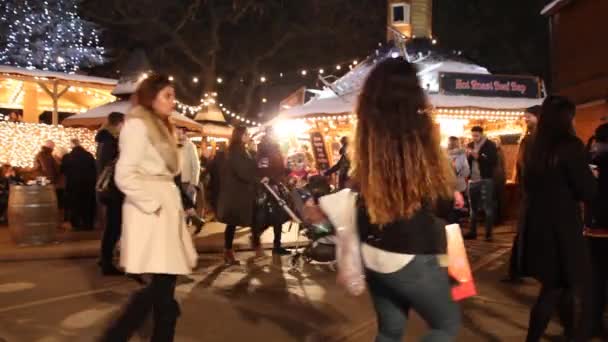 London Anglia 2016 December Emberek Séta Hyde Park Télen Csodaország — Stock videók