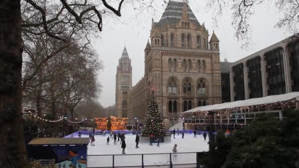 Londra Aralık 2016 Doğal Tarih Müzesi Tarafından Noel Buz Pateni — Stok video