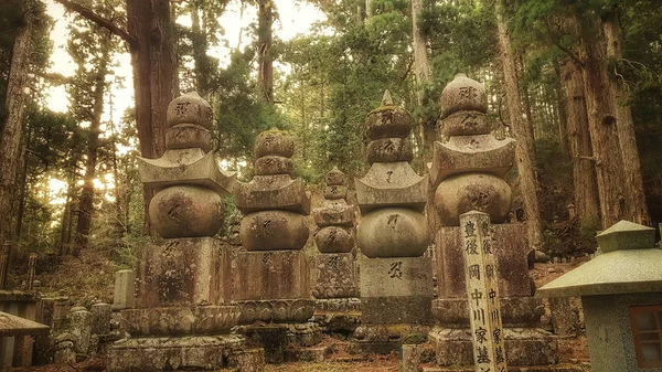 Τοπίο Στο Κογιασάν Όρος Κόγια Ιαπωνία — Φωτογραφία Αρχείου