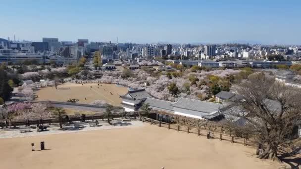 Vista Castelo Himeji Partir Topo — Vídeo de Stock