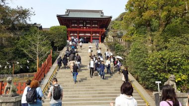 Kamakura, Japonya - 19 Nisan 2019: Tsurugaoka Hachimangu 'da yürüyen insanlar. Tapınak şehrin en önemli tapınağıdır ve iki müze ve festivale ev sahipliği yapar..
