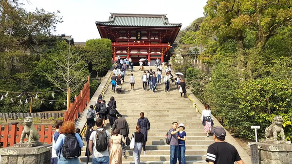 Kamakura Ιαπωνία Απριλίου 2019 Άνθρωποι Περπατούν Στο Tsurugaoka Hachimangu Ναός — Φωτογραφία Αρχείου