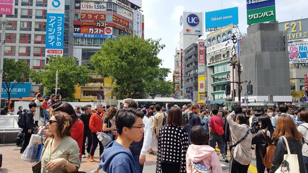 Kamakura Japonya Nisan 2019 Tsurugaoka Hachimangu Yürüyen Insanlar Tapınak Şehrin — Stok fotoğraf