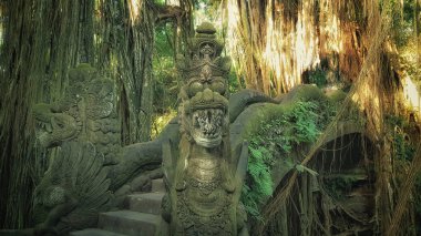 Maymun Ormanı, Bali, Endonezya