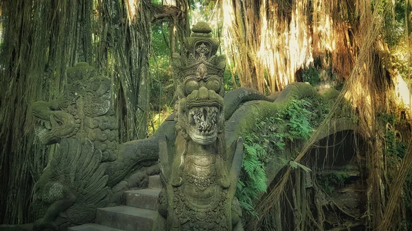 Monkey Forest Bali Indonesia — Stock Photo, Image