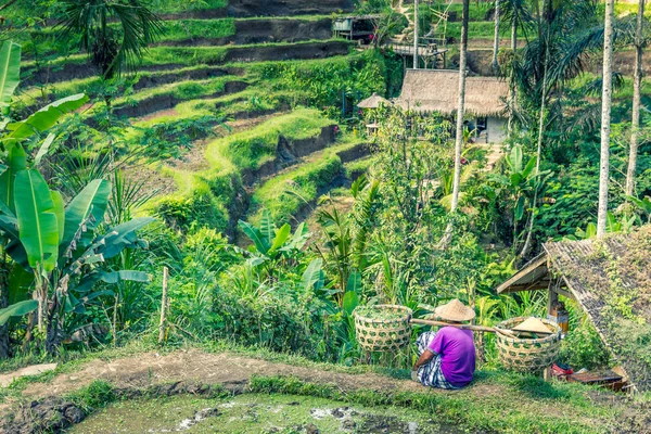 Tegallalang Rice terasa, Bali, Indonésie — Stock fotografie