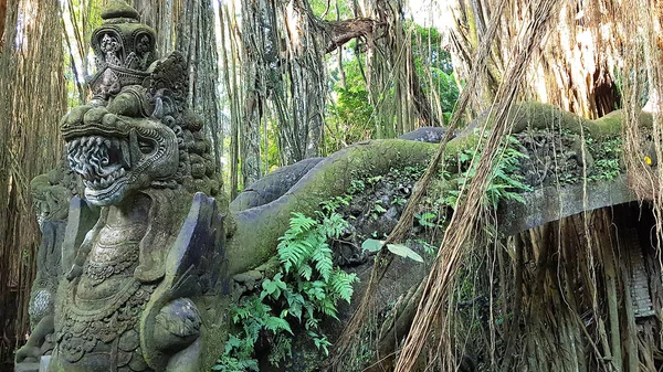 Krajina Opičím Lese Bali Indonésie — Stock fotografie