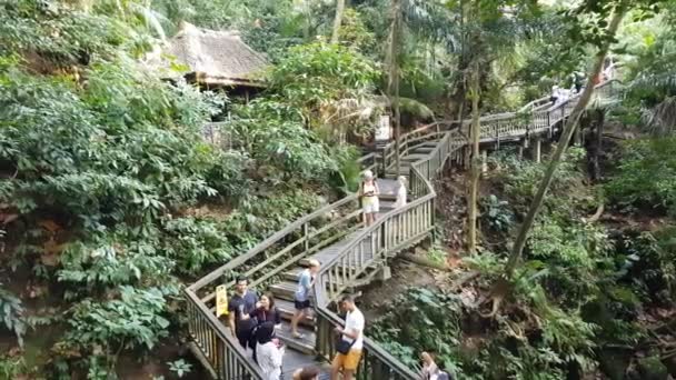 バリ島 インドネシア 2019年6月27日 モンキーフォレストウブドを歩く人々 700人以上のバリの長い尾の猿が地域に住んでいます — ストック動画