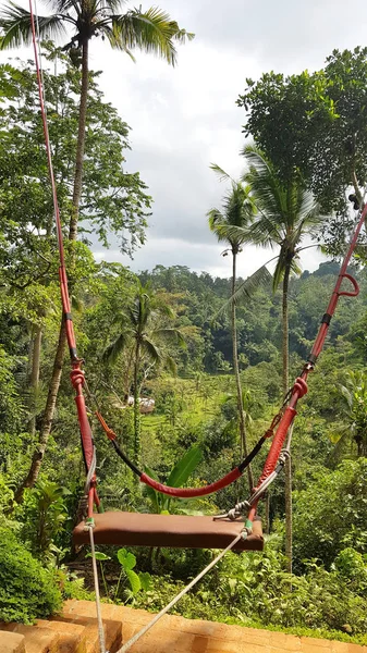 Houpačka Lese Bali Indonésie — Stock fotografie