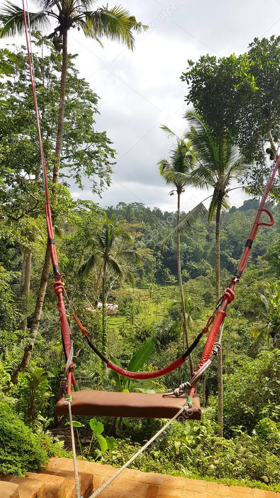 Swing in a forest in Bali, Indonesia