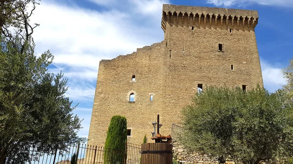 Castillo Chteauneuf Pape Sureste Francia —  Fotos de Stock