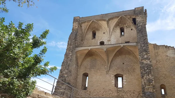 Castello Chteauneuf Pape Francia Sud Orientale — Foto Stock