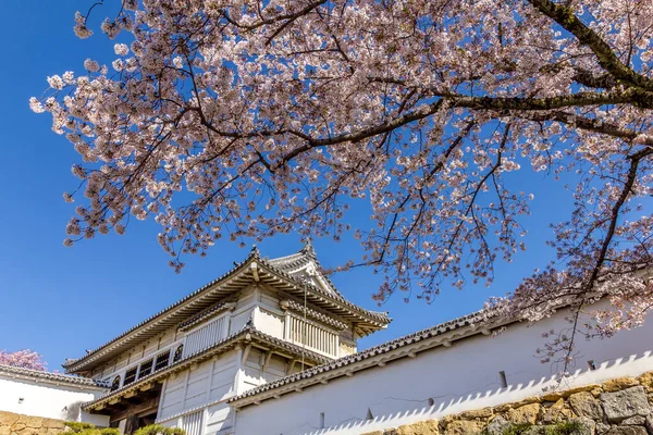 Ανθός κερασιάς και το κάστρο Χιμέτζι στην Ιαπωνία — Φωτογραφία Αρχείου
