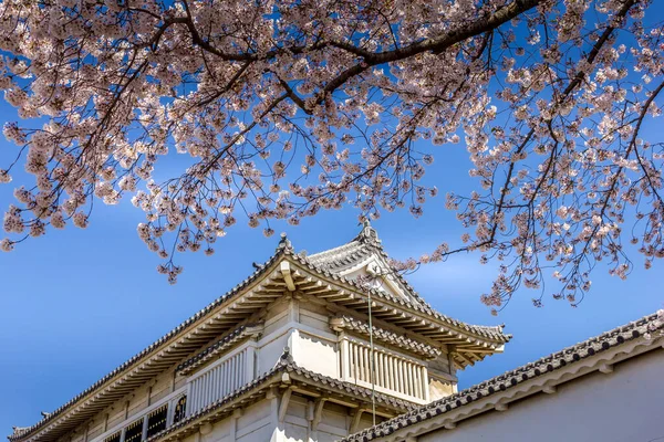 Fiori di ciliegio e il castello Himeji in Giappone — Foto Stock